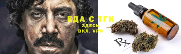 прущие крисы Бородино