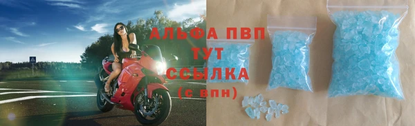 прущие крисы Бородино