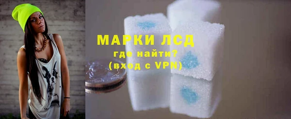 прущие крисы Бородино