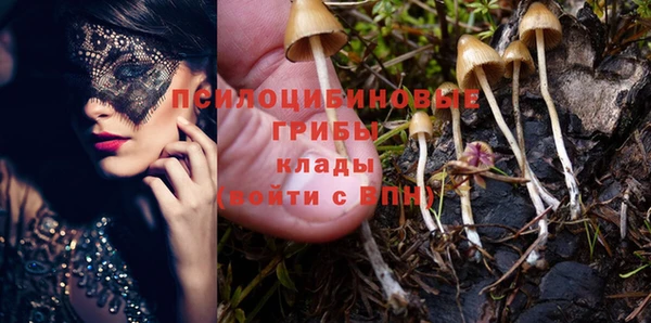 гидропоника Бугульма
