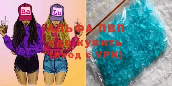 прущие крисы Бородино