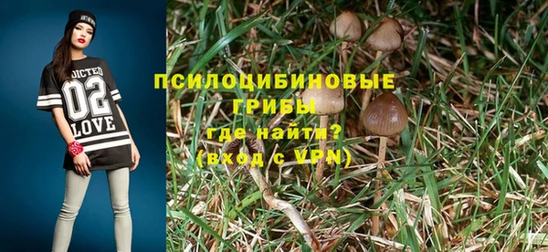 прущая мука Верхний Тагил